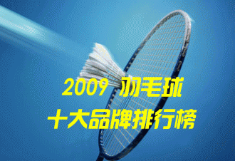 2009年度十大羽毛球品牌排行榜